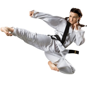 Adult Taekwondo Lessons
