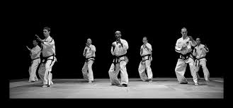 Taekwondo-Line-Up
